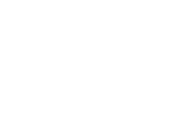 Speeding endangers everyone on the road: In 2020, speeding killed 11,258 people.