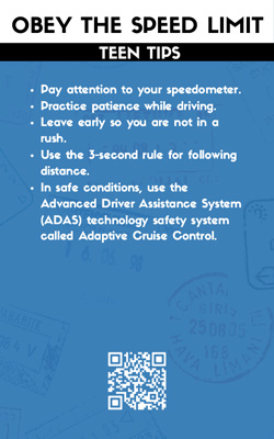 Passport to Safe Driving thumbnail